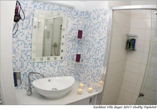 Apartman Vila Bayer Karlovy Vary Exterior photo