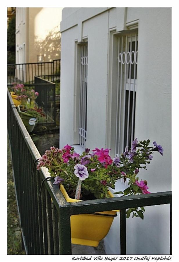 Apartman Vila Bayer Karlovy Vary Exterior photo