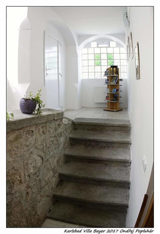 Apartman Vila Bayer Karlovy Vary Exterior photo