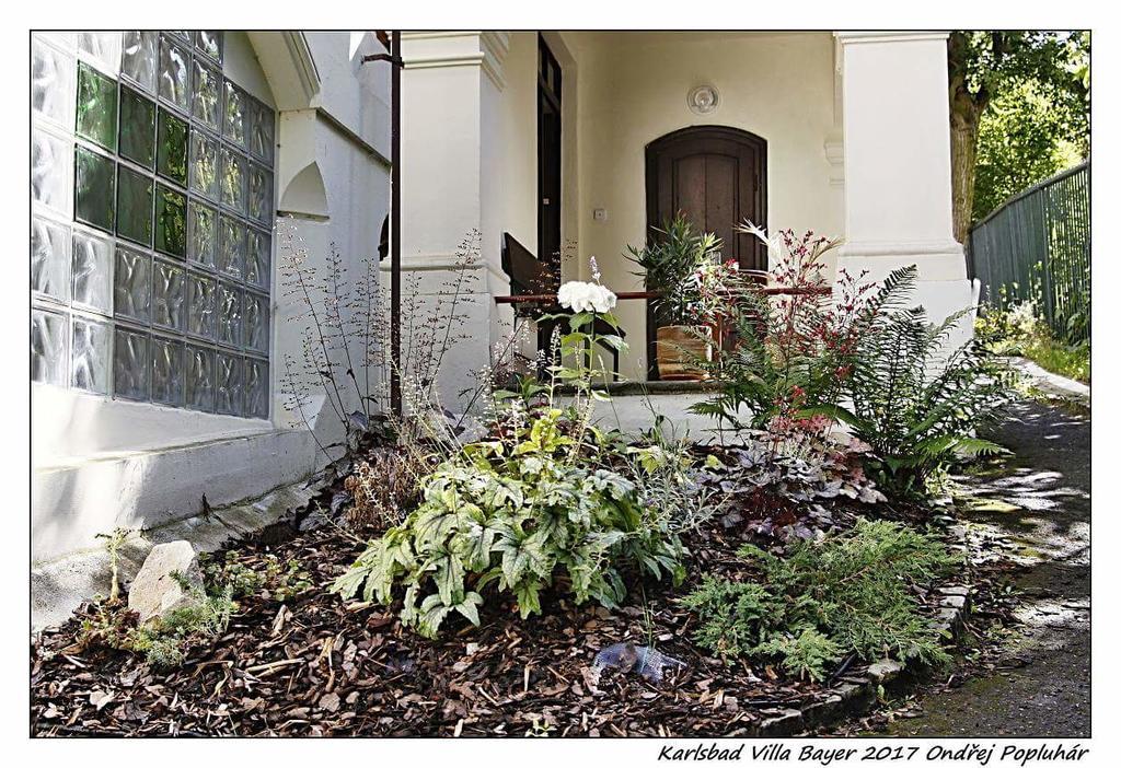 Apartman Vila Bayer Karlovy Vary Exterior photo