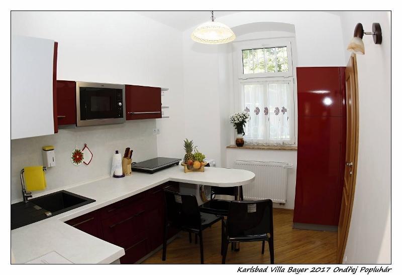 Apartman Vila Bayer Karlovy Vary Exterior photo