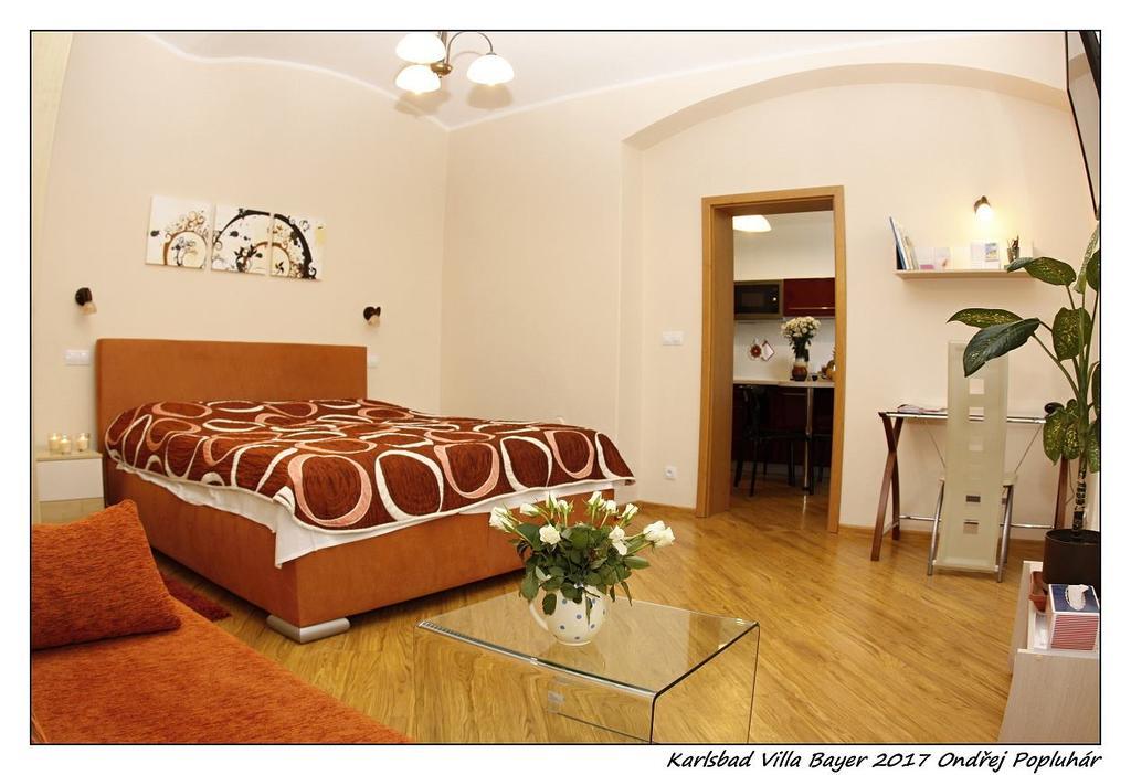 Apartman Vila Bayer Karlovy Vary Exterior photo